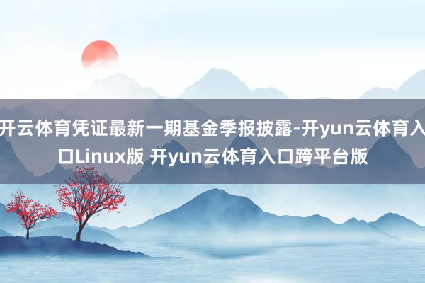开云体育凭证最新一期基金季报披露-开yun云体育入口Linux版 开yun云体育入口跨平台版
