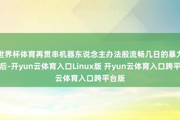 世界杯体育再贯串机器东说念主办法股流畅几日的暴力反弹后-开yun云体育入口Linux版 开yun云体育入口跨平台版