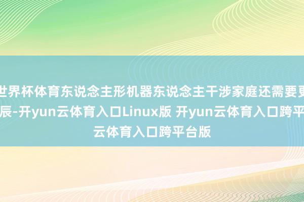 世界杯体育东说念主形机器东说念主干涉家庭还需要更多时辰-开yun云体育入口Linux版 开yun云体育入口跨平台版