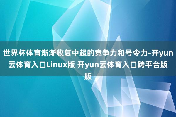 世界杯体育渐渐收复中超的竞争力和号令力-开yun云体育入口Linux版 开yun云体育入口跨平台版