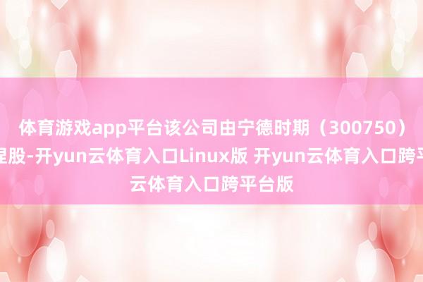 体育游戏app平台该公司由宁德时期（300750）全资捏股-开yun云体育入口Linux版 开yun云体育入口跨平台版