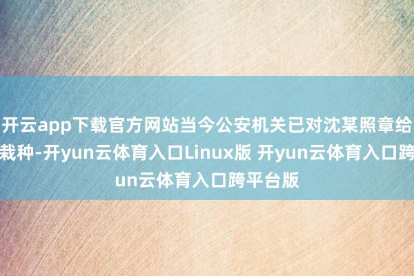 开云app下载官方网站当今公安机关已对沈某照章给予品评栽种-开yun云体育入口Linux版 开yun云体育入口跨平台版