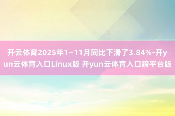 开云体育2025年1—11月同比下滑了3.84%-开yun云体育入口Linux版 开yun云体育入口跨平台版